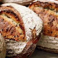 product-bakery-13